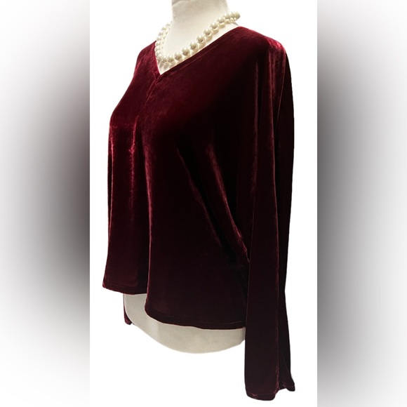 NWT Eileen Fisher Women's Deep Claret Velvet V Neck Top Dolman Sleeve - Picture 6 of 10